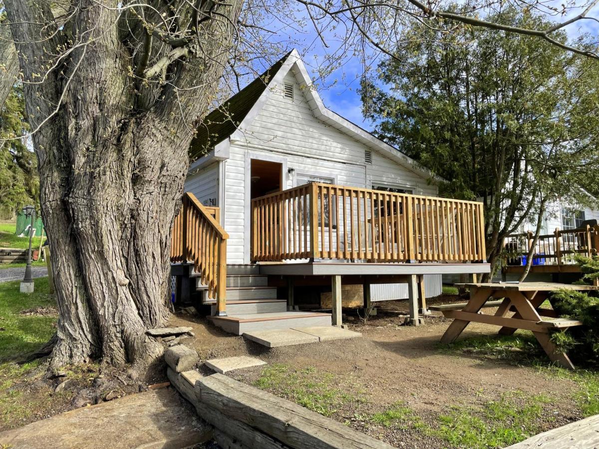 Merland Park Cottages And Motel Picton Kültér fotó
